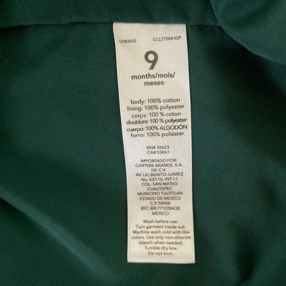 Baby Girls 9M Green Red Floral Dress Ruffle Trim Lined Holiday Outfit - Picture 4 of 6